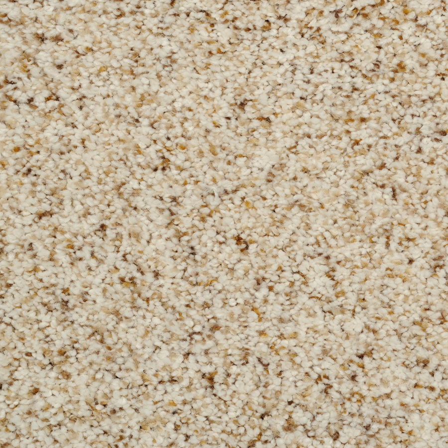 Dixie Group Trusoft Levity Cream Textured Indoor Carpet