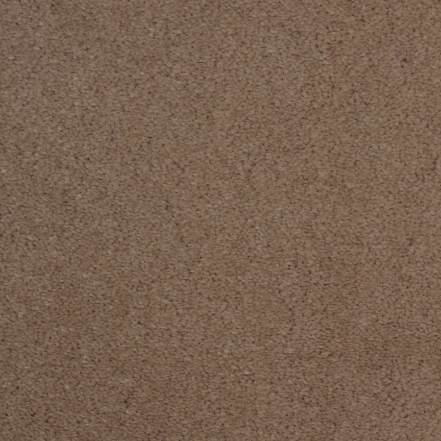 Dixie Group Trusoft Vellore Zephyr Cut Pile Indoor Carpet