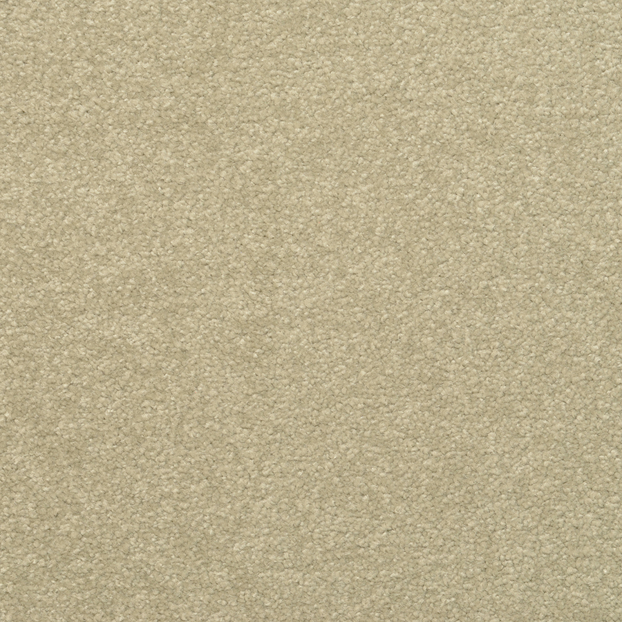 STAINMASTER Active Family Influential Spanish Olive Textured Indoor Carpet