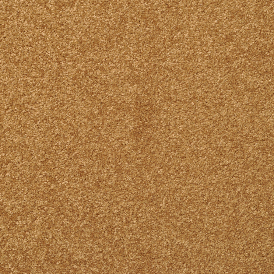 STAINMASTER Active Family Influential Nutmeg Textured Indoor Carpet