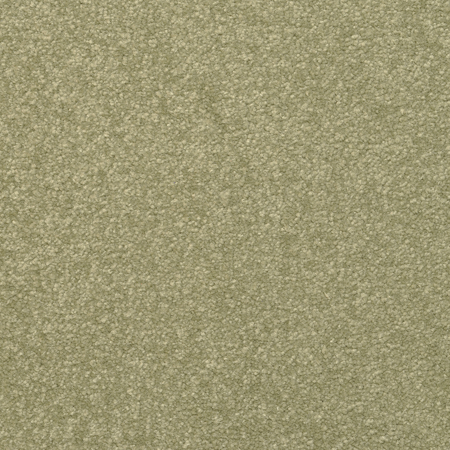 STAINMASTER Active Family Influential Jalapeno Textured Indoor Carpet
