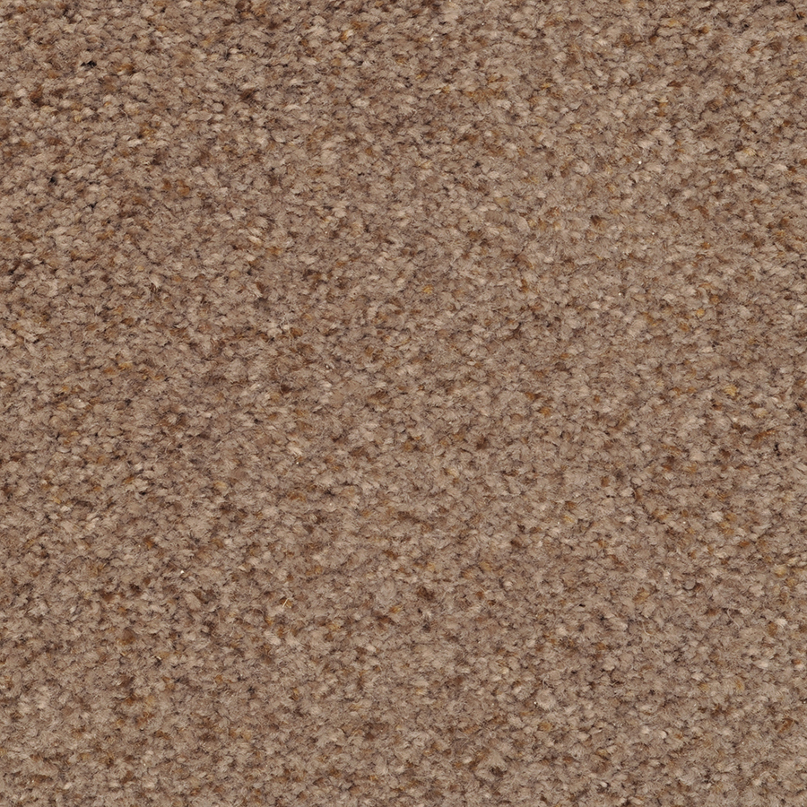 STAINMASTER Active Family Special Occasion Expressway Textured Indoor Carpet