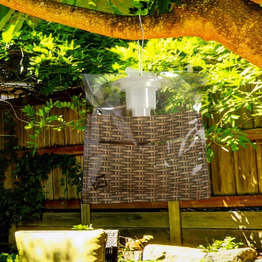 lowes fly trap