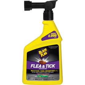 best bed bug spray lowes. how to get rid of bed bugs the home best bed bug spray lowes. how to get rid of bed bugs the home