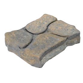 Shop Tan/Charcoal Rectangle Concrete Patio Stone (Common: 11-in x 13-in