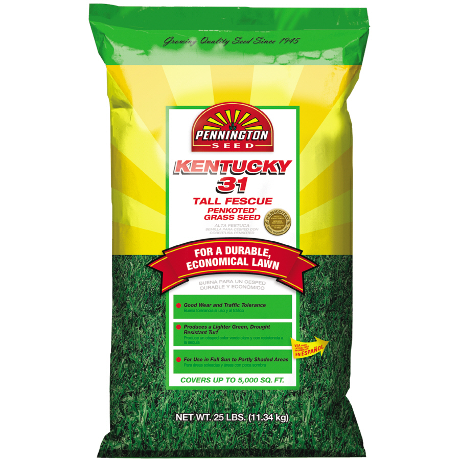 Pennington 25 lbs Sun and Shade Fescue Grass Seed