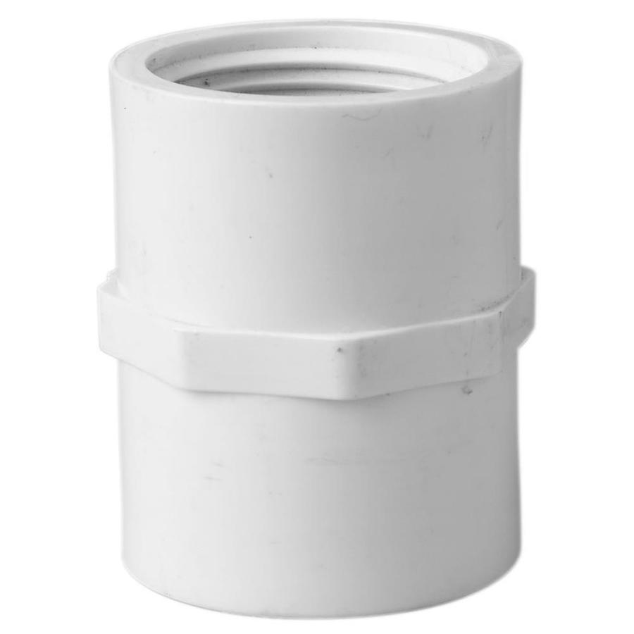 LASCO 3/4 in Dia PVC Sch 40 Coupling