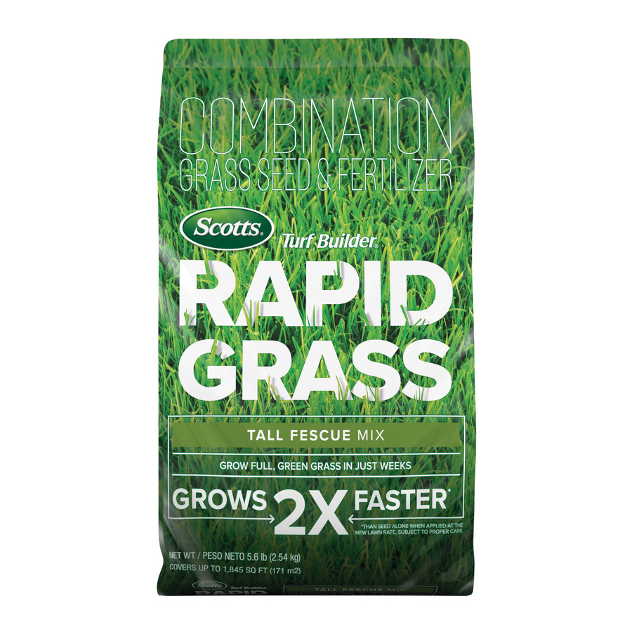 Scotts Rapid Grass 5.6-lb Tall Fescue Grass Seed | 18222