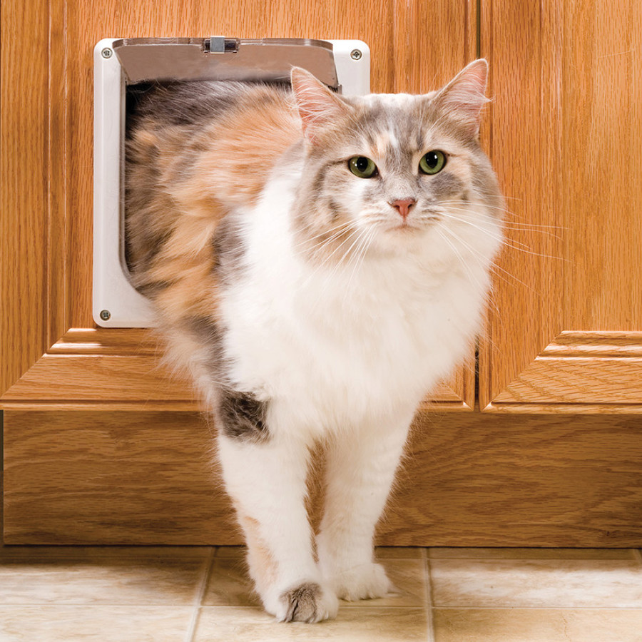 PetSafe Cat Flap Small White Plastic Pet Door (Actual 5.75 in x 5.75 in)