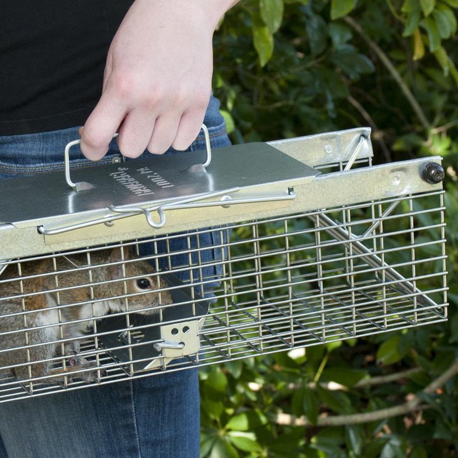 Rodent & Animal Traps Rat Havahart 1025 Live Animal Two-Door Squirrel ...