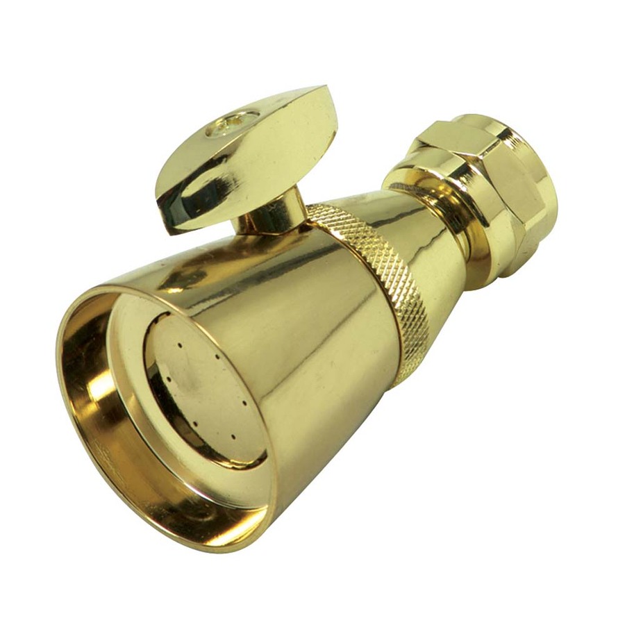 Danco Polished Brass Showerhead