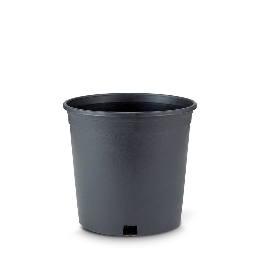 New England Pottery 8 in H x 9 in W x 8.75 in D Black Resin Outdoor Planter