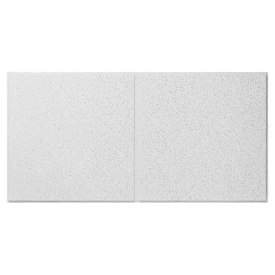 Armstrong 10 Pack Fine Fissured Second Look Ceiling Tile Panel (Common 24 in x 48 in; Actual 23.704 in x 47.704 in)