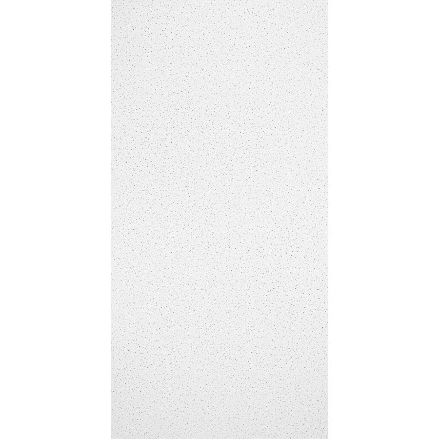 Armstrong 8 Pack Fine Fissured Homestyle Ceiling Tile Panel (Common 24 in x 48 in; Actual 23.719 in x 47.719 in)