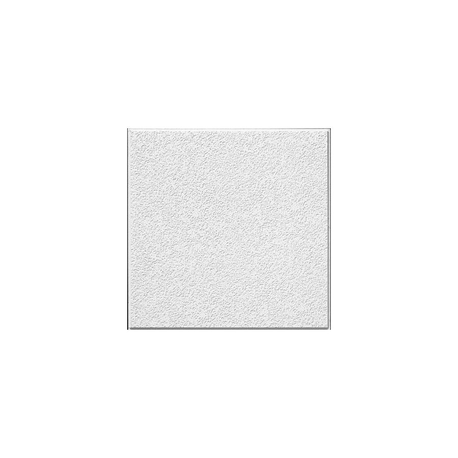 Armstrong 4 Pack Brighton Homestyle Ceiling Tile Panel (Common 24 in x 24 in; Actual 23.719 in x 23.719 in)