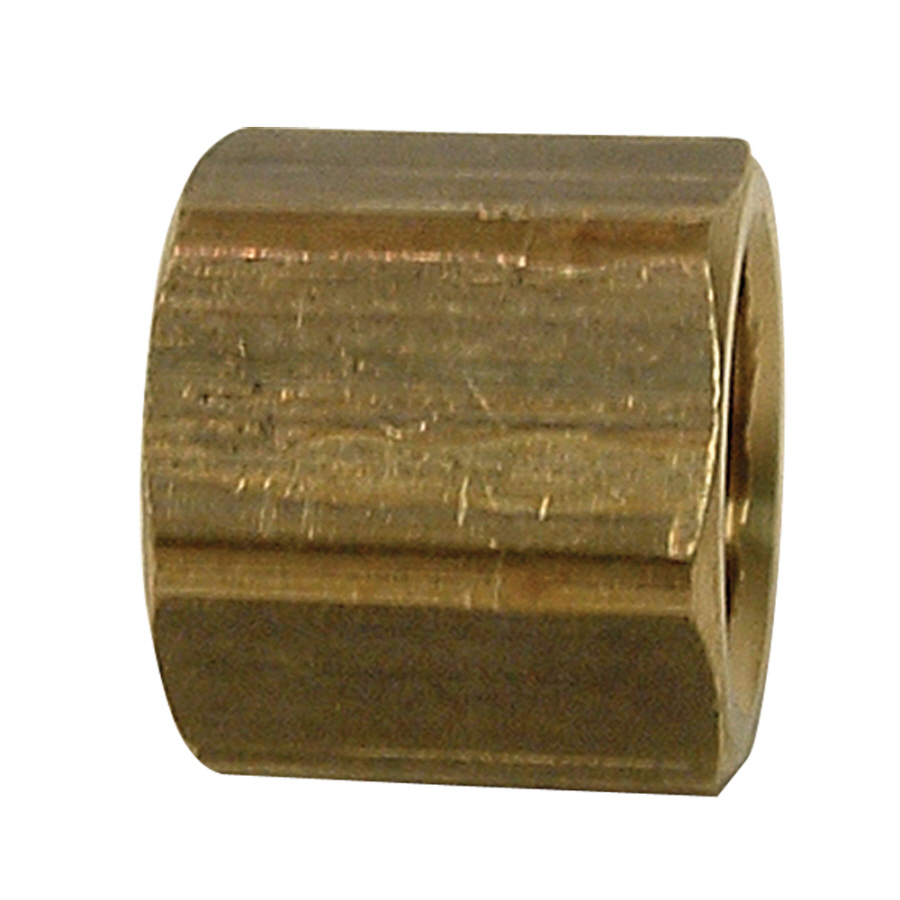 Watts 1/2 in Brass Pipe Fitting