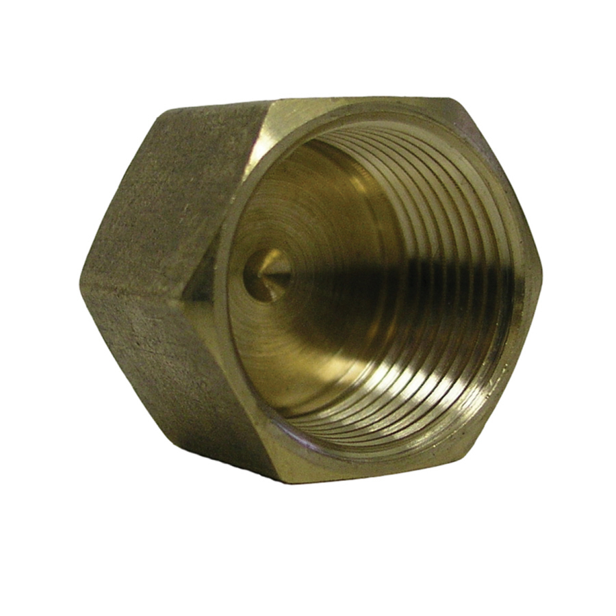 Watts 3/4 in Brass Pipe Fitting