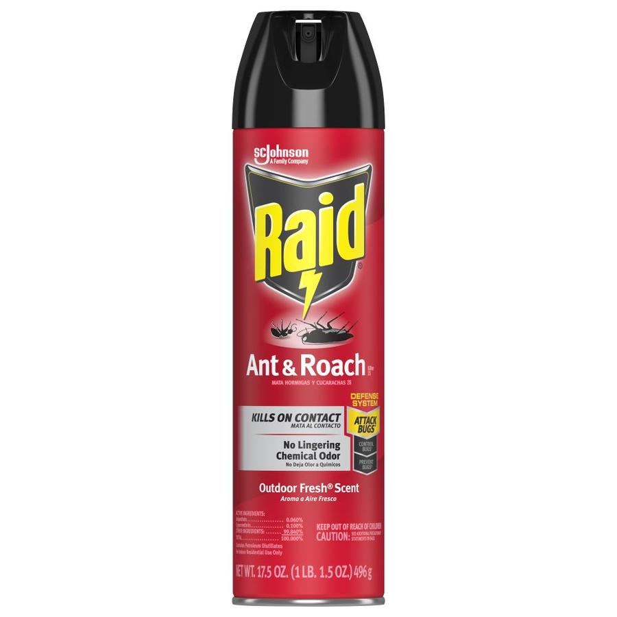 Raid 17.5 oz Ant and Roach Killer