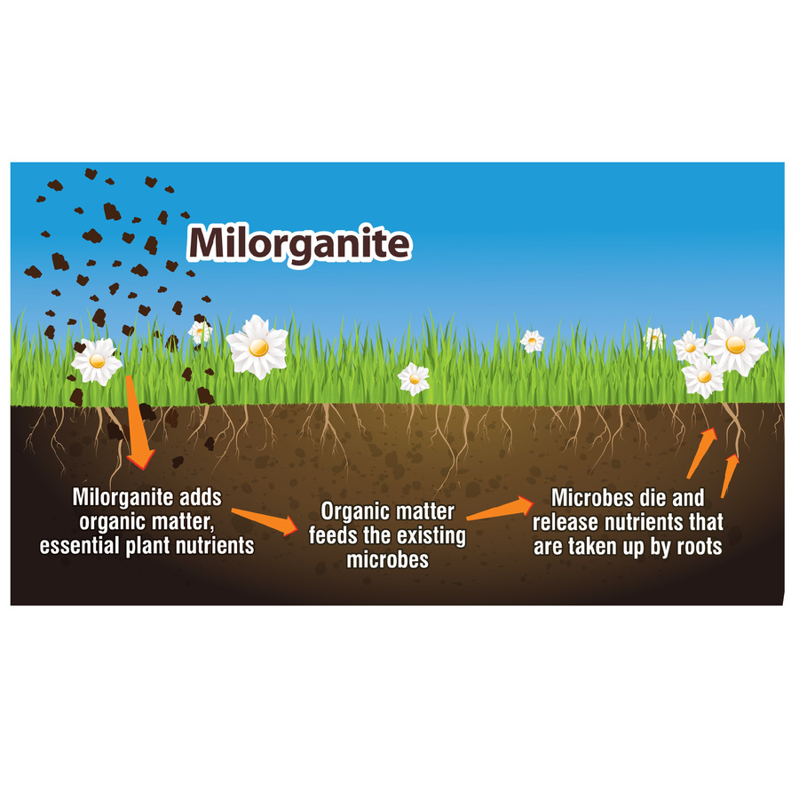 Milorganite Slow Release 36-lb 2,500-sq ft 6-4-0 Lawn Fertilizer at