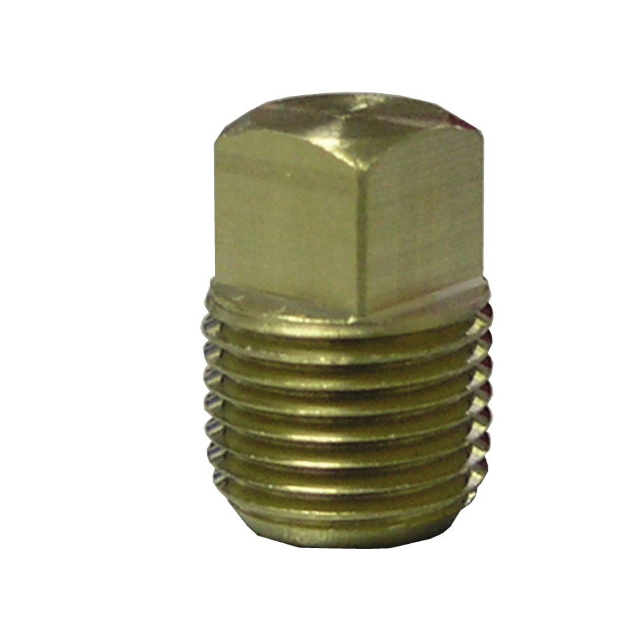 Watts 1/4 in Plug Brass Pipe Fitting