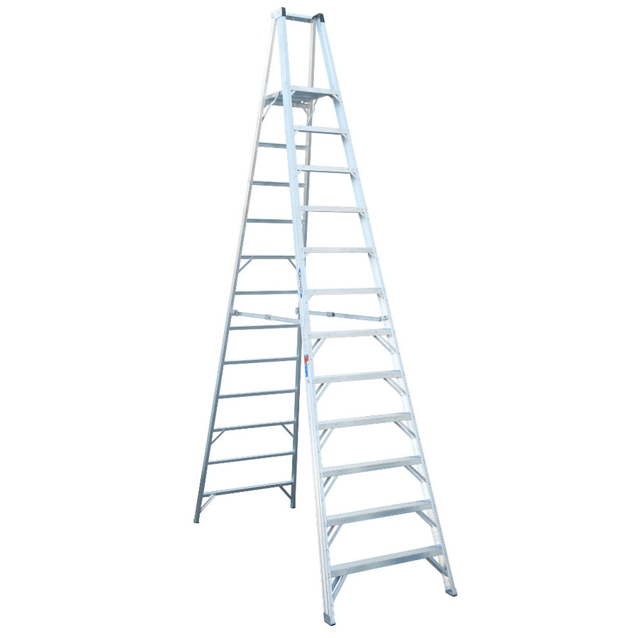 Werner 12 ft Aluminum 300 lb Type IA Platform Ladder