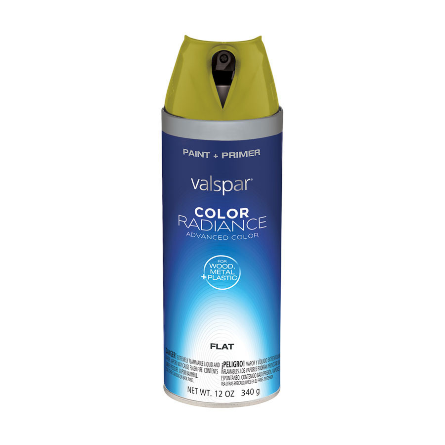 Valspar Gilded Pesto Indoor/Outdoor Spray Paint