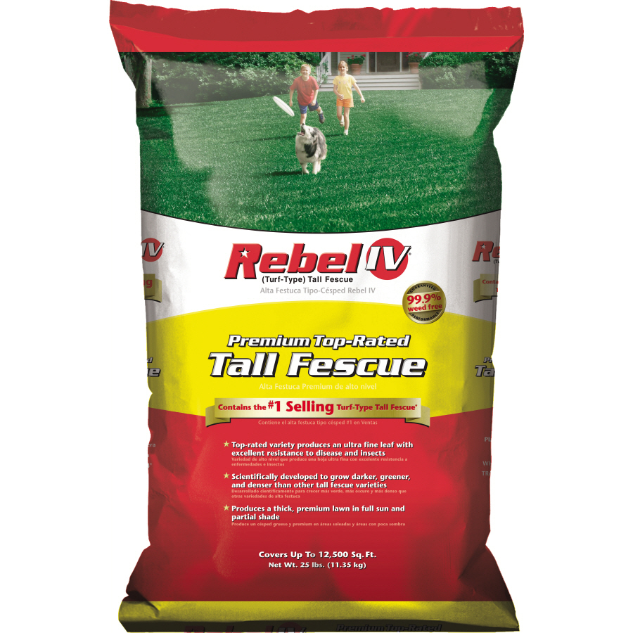 Rebel 25 lbs Grass Seed