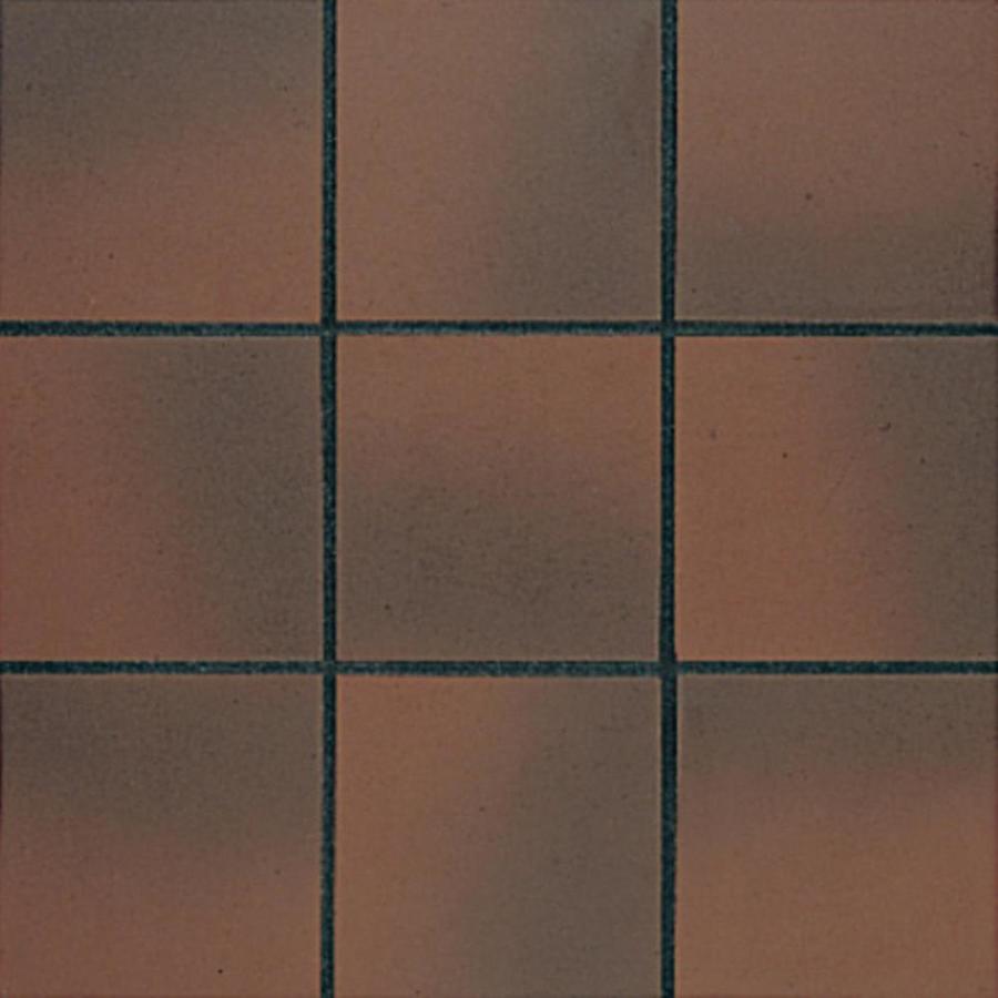 American Olean 25 Pack Quarry Naturals Fire Flash Ceramic Floor Tile (Common 8 in x 8 in; Actual 8 in x 8 in)