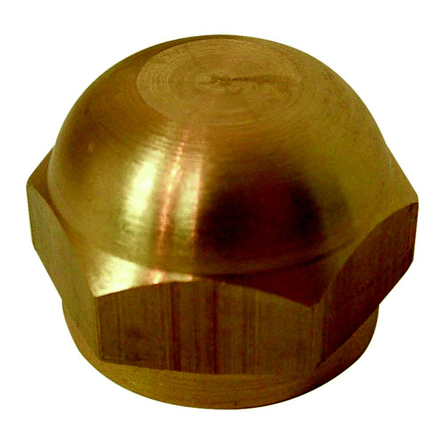 Watts 3/4 in Threaded Cap Fitting