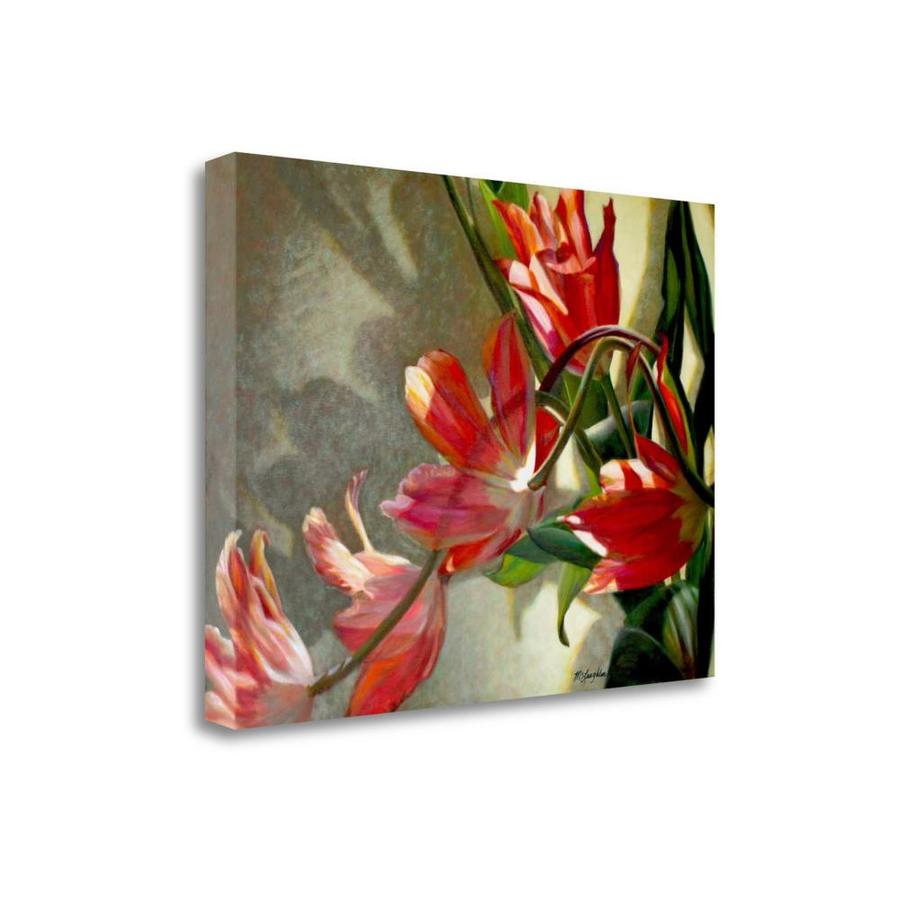 Tangletown Fine Art Frameless 30-in H x 40-in W Floral Canvas Print Cotton | ICM1130D-4030C