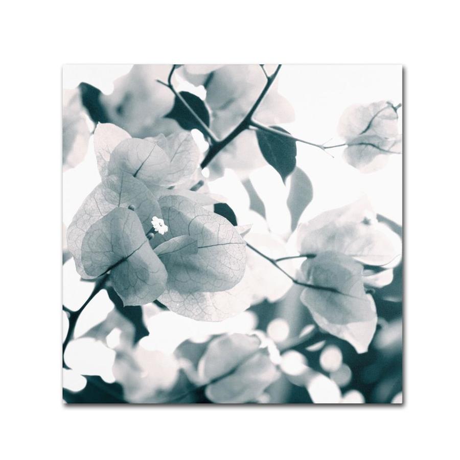 Trademark Fine Art Floral Framed 14-in H x 14-in W Floral Canvas Print | BC0077-C1414GG