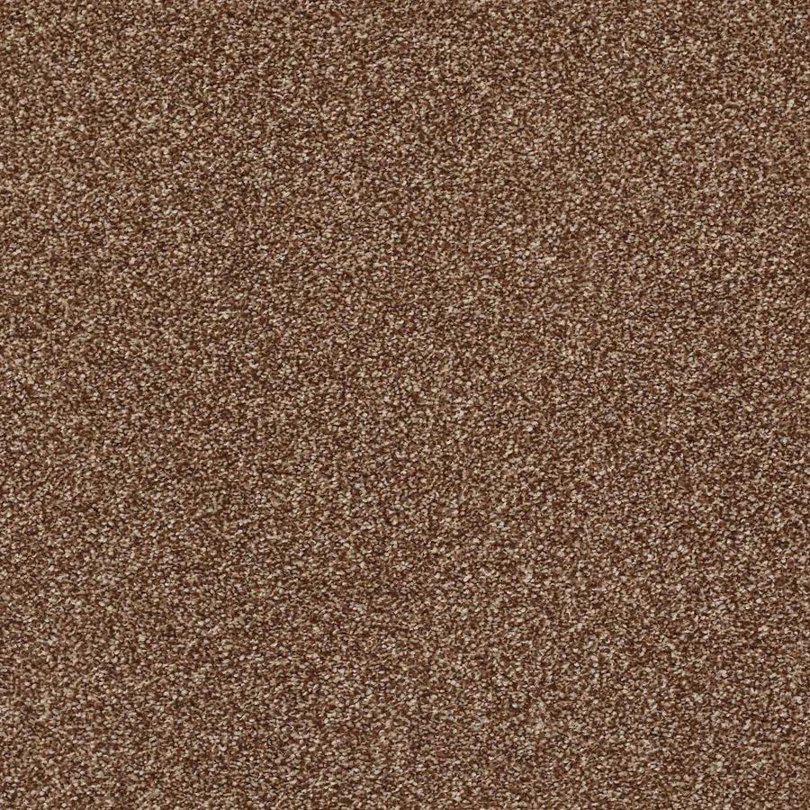 STAINMASTER Essentials Kindle- Flash Flash Textured Carpet (Indoor) in Brown | B707300011