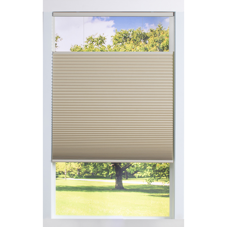 allen + roth 44-in x 60-in Alabaster Blackout Cordless Cellular Shade Polyester in Off-White | RPETTDBOAL440600