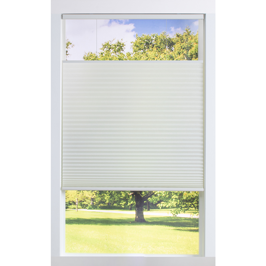 allen + roth 37.5-in x 60-in Ivory Light Filtering Cordless Cellular Shade Polyester in Off-White | RPETTDLFIV374600