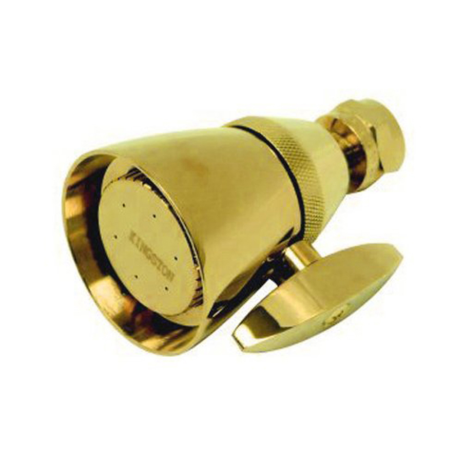 Elements of Design 2 GPM (7.6 LPM) Polished Brass Showerhead