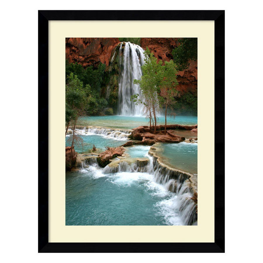 Amanti Art 29.49 in W x 38.37 in H Nature Framed Art