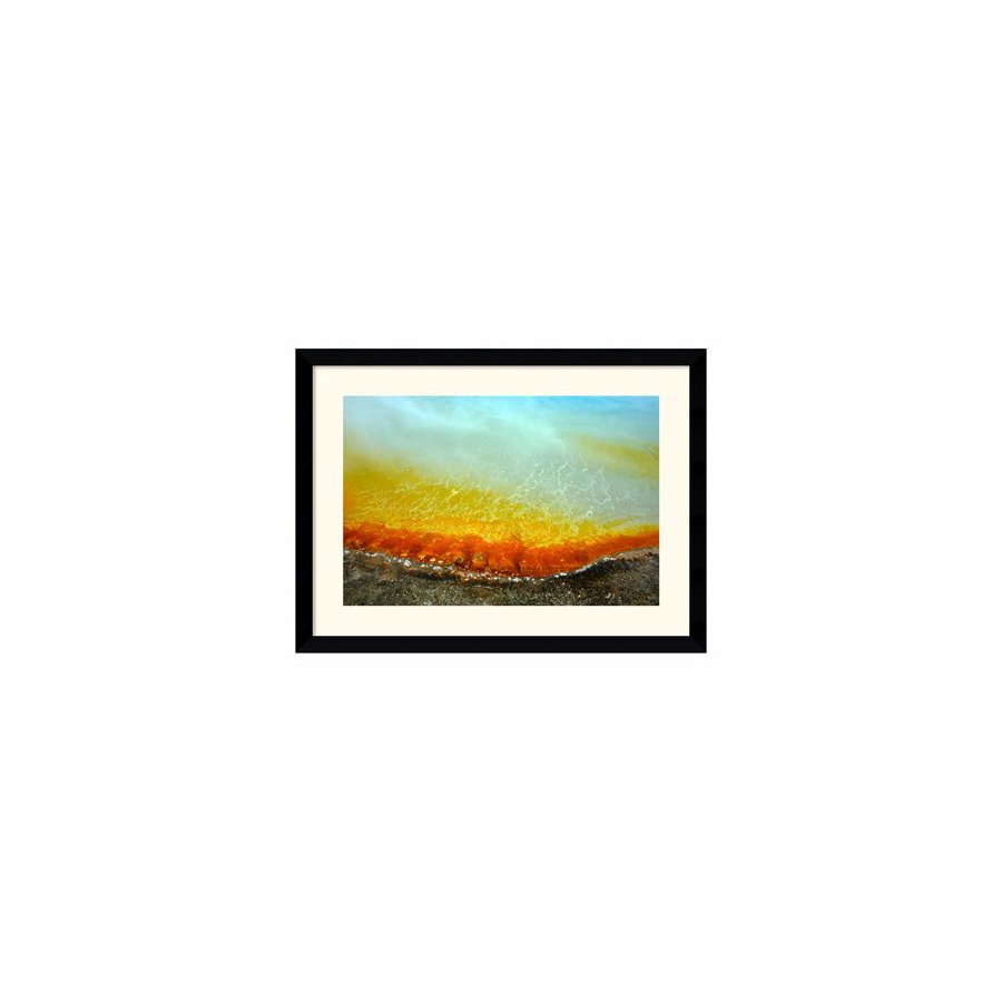 Amanti Art 38.62 in W x 28.62 in H Nature Framed Art