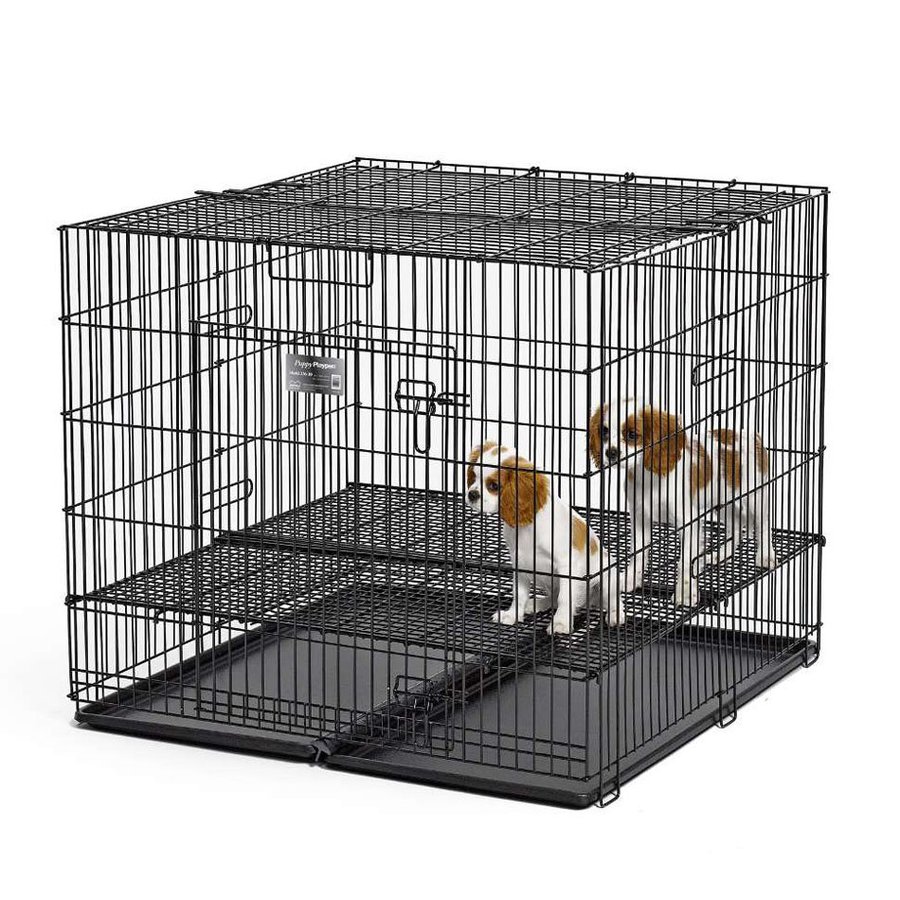 midwest pets 3 ft x 3 ft x 2.5 ft Double Nickel Chrome Collapsible Plastic and Wire Pet Crate