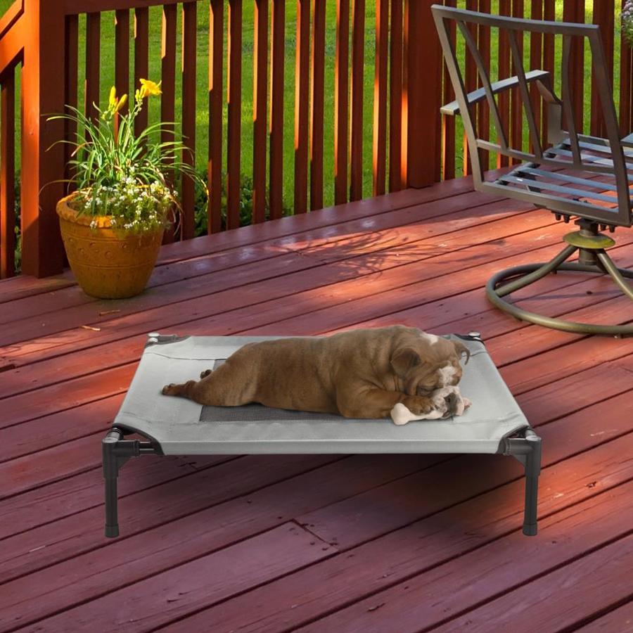 Pet PalPet Pal Elevated Pet BedPortable Raised CotStyle Bed with Non