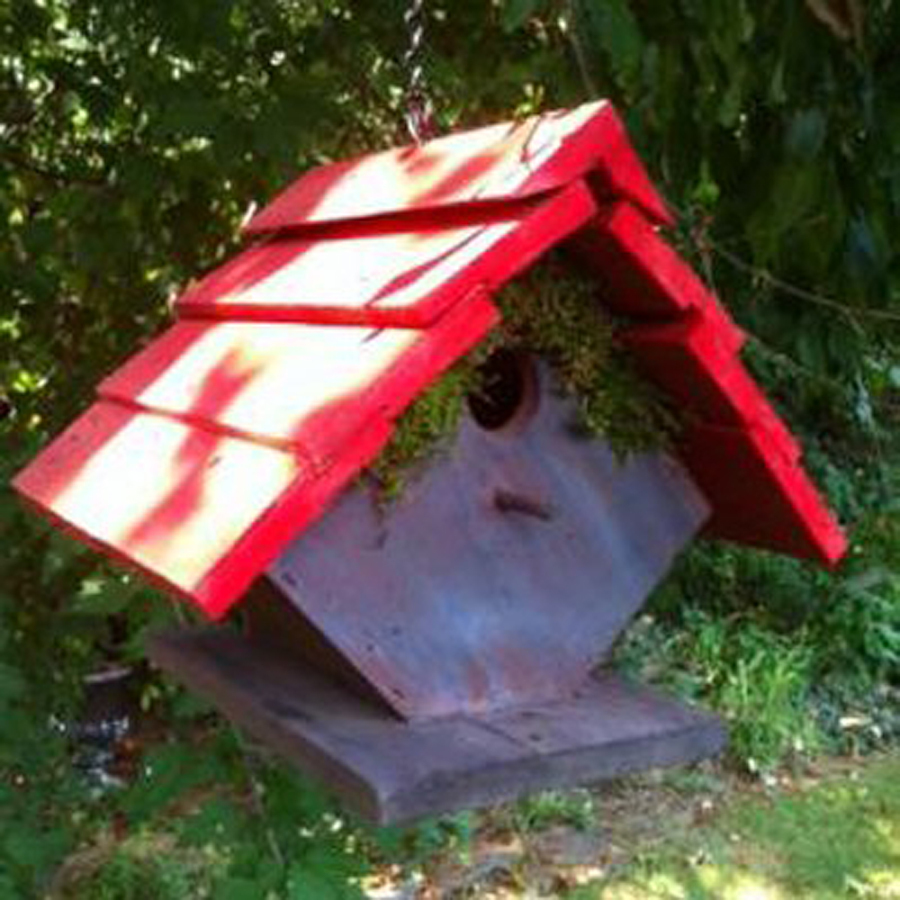 Wilderness Series Products 8 in W x 8 in H x 7 in D Red/Dark Lavender Bird House