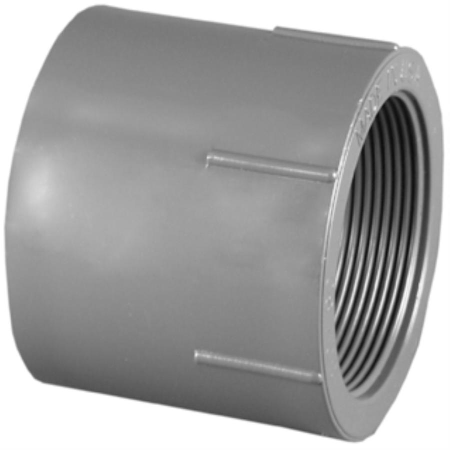 Charlotte Pipe 3/4 in Dia PVC Sch 80 Adapter