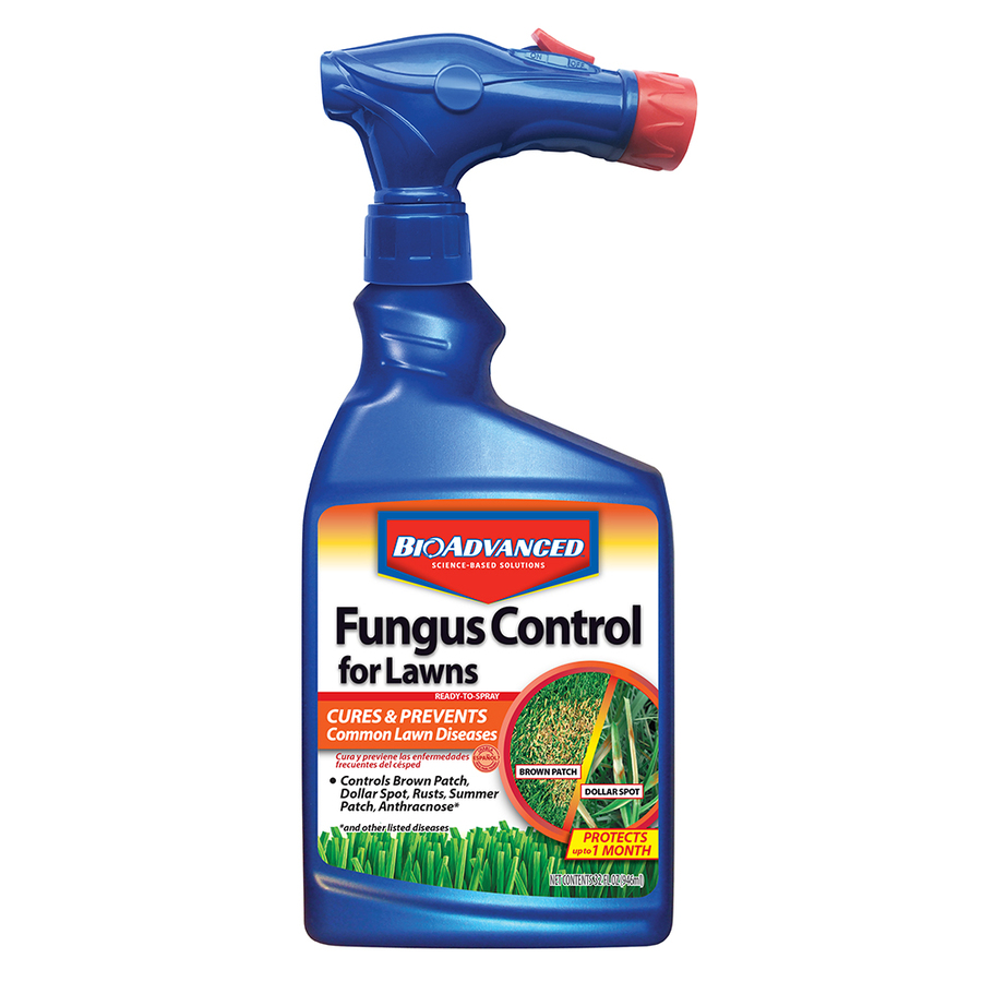 BAYER ADVANCED 32-fl oz Concentrated Moss Control | 701270