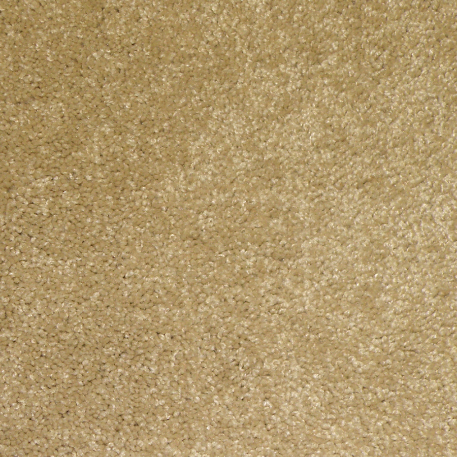 STAINMASTER Hartland Desert Sand Textured Indoor Carpet