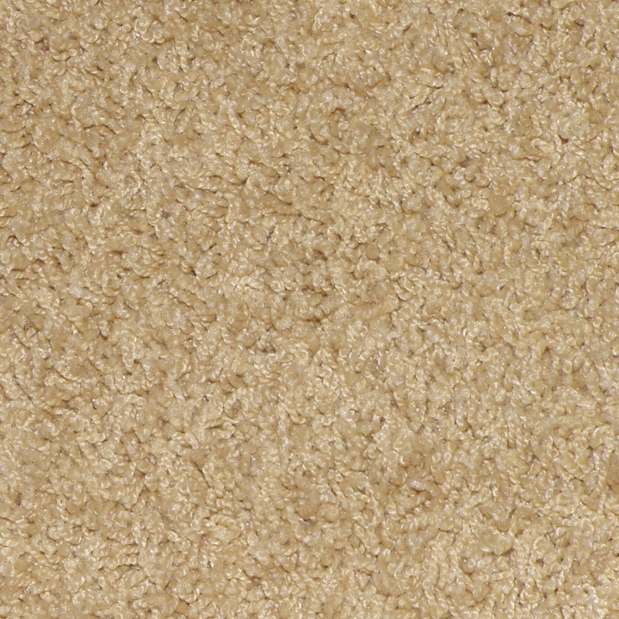 STAINMASTER Gallery Tuscan Sun Frieze Indoor Carpet