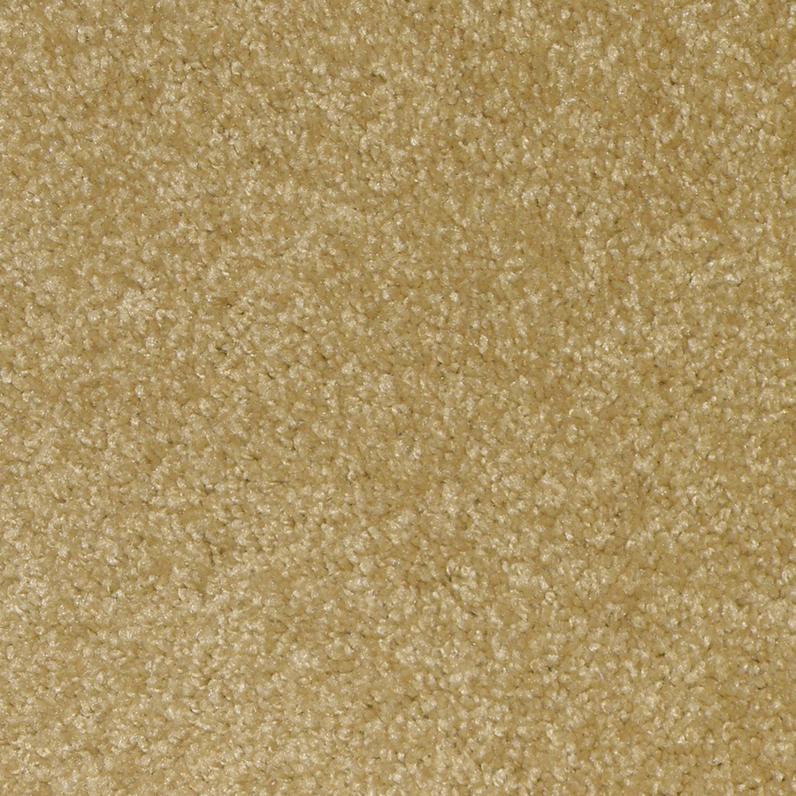 STAINMASTER Ryland Danja Cut Pile Indoor Carpet