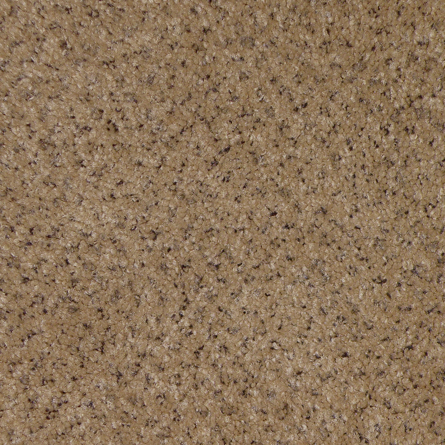 STAINMASTER Pleasant Grove Maximus Textured Indoor Carpet