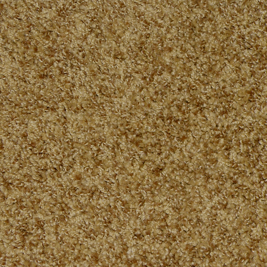 STAINMASTER Harmony Hazelnut Tan Frieze Indoor Carpet