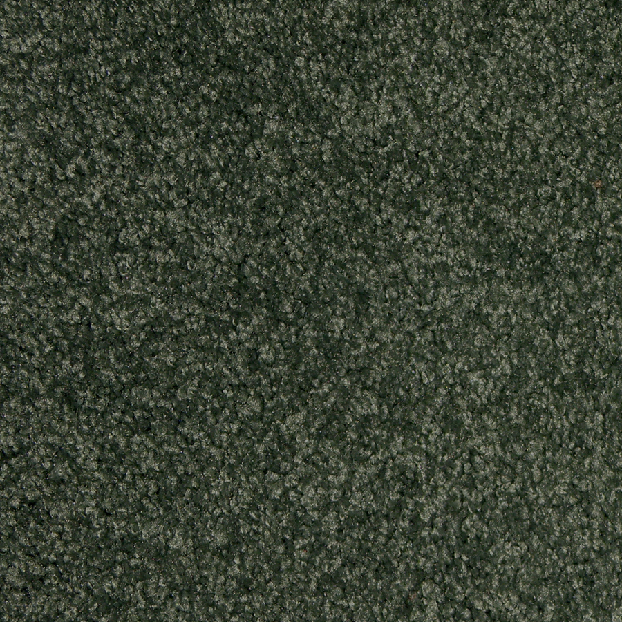 STAINMASTER Carmen Grove Cut Pile Indoor Carpet