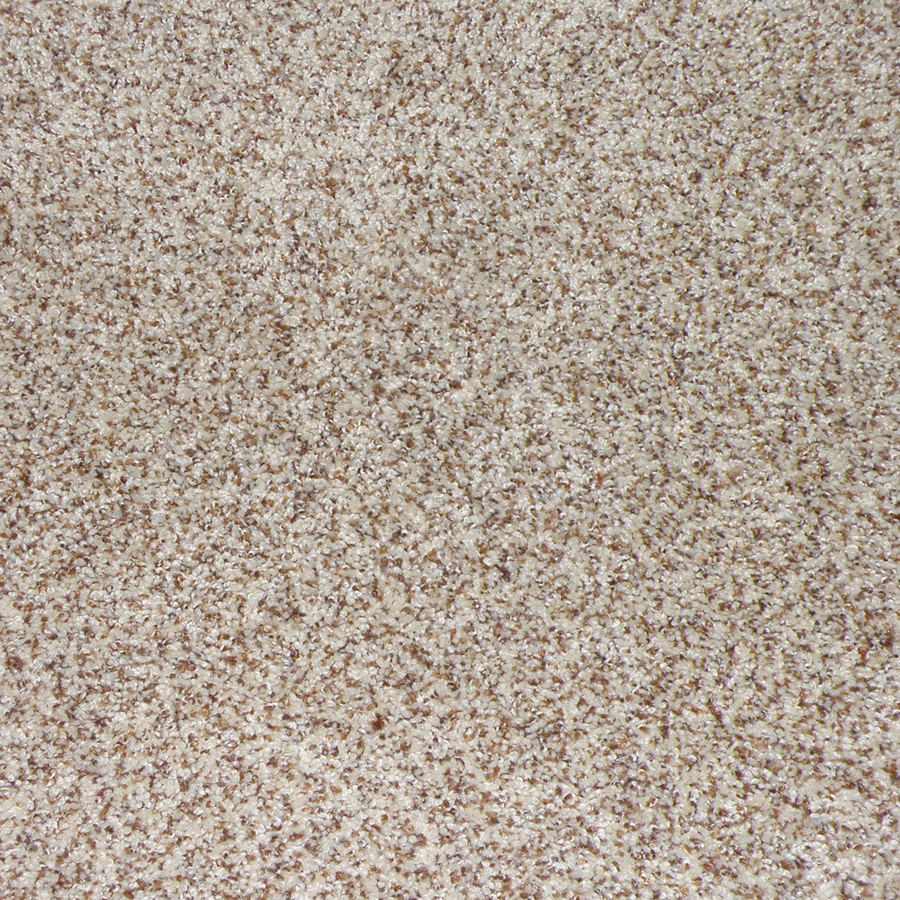 STAINMASTER Maple Springs Granite Cut Pile Indoor Carpet