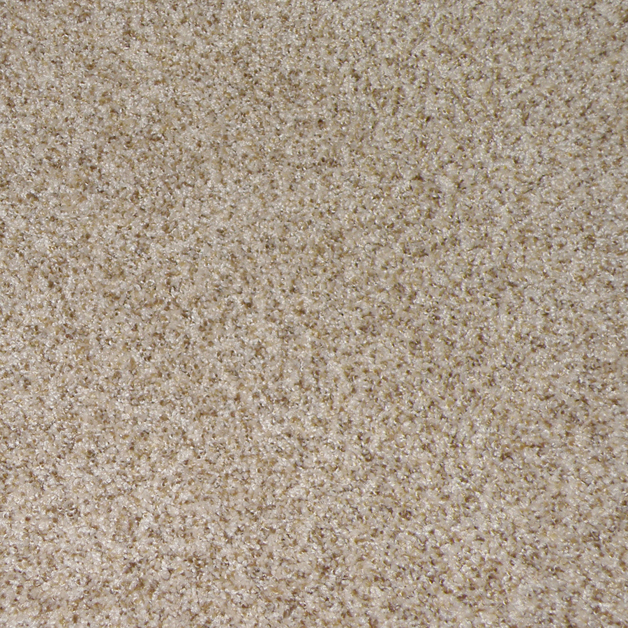 STAINMASTER Stanfield Pebble Beach Cut Pile Indoor Carpet